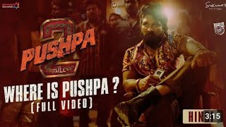 PUSHPA 2 MOVIE HINDI DUBBED movies pushpa 2 hindi movie Allu Arjun [upl. by Hgielanna]