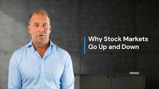 Why Stock Markets Go Up and Down Easy Explanation for Complete Beginners [upl. by Laina]