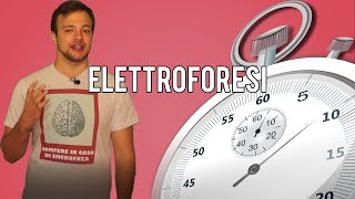 ELETTROFORESI in 60 secondi o meno  Spiegazione [upl. by Aruabea]