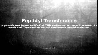 Medical vocabulary What does Peptidyl Transferases mean [upl. by Liryc]