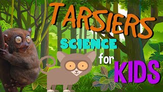 Fun Facts about Tarsiers  Science for Kids [upl. by Albric]