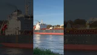 ASTERION  BulkCarrier  IMO 9729908  Hamburger Hafen 02112024 [upl. by Pascal]