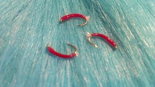 Fly Tying for Beginners Fly No 2 Easy Bloodworm [upl. by Lotus]