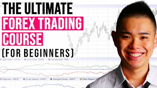 The ULTIMATE Forex Trading Course for Beginners [upl. by Fishbein]