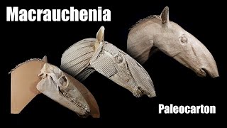 Macrauchenia Paleocarton [upl. by Bywaters]