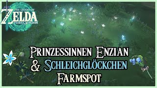 Wo farme ich am besten Prinzessinen Enzian und Schleichglöckchen Zelda Tears of the Kingdom [upl. by Idnat175]