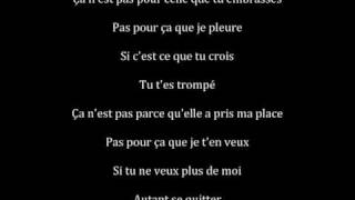 Zazie  Chanson damis  paroles [upl. by Eseuqram]