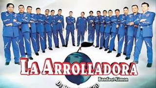 La Arrolladora Banda el Limon  Que me vas a dar si vuelvo [upl. by Coray]