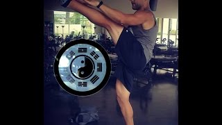 MMA Kick Training  Leg Strength amp Conditioning with Ninos Ibraham [upl. by Ednalrym136]