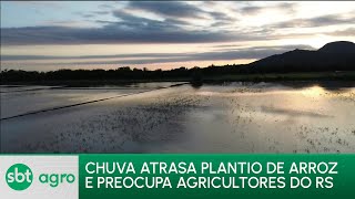 SBT AGRO 231023Situação está complicada para os produtores de arroz no Rio Grande do Sul [upl. by Ettenuj261]