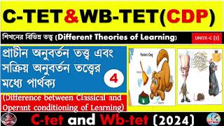 Different Between Classical And Operant Congratulations theoryLearning TheoryCtet And Wbtet [upl. by Lotsirb]