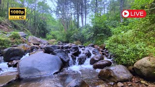 Gentle Water Flow for Sleep Aid and Stress Relief [upl. by Ulphiah37]