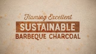 Resilient Woodlands Sustainable Charcoal put to the test by Infamous Catering [upl. by Ara]