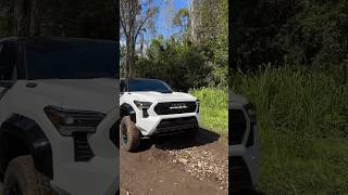 2024 Toyota Tacoma TRD Pro is a Freak of Nature [upl. by Ael]