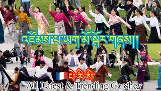 Paris Zompa Yakmo lhakar Gorsheyparis tibetanyoutuber [upl. by Cesaria]