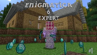 Enigmatica 6 Expert  A Great Start  Ep 1 [upl. by Ellora279]