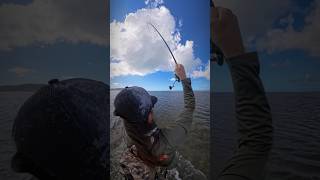 Another Hawaiian Bonefish striker bonefish foolsgoldfishing flatsfishing insta360x4 [upl. by Anertak399]