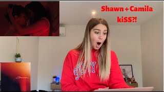 Shawn Mendes Camila Cabello  Senorita  Reaction Video [upl. by Aneekahs]