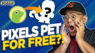 COINGECKO x PIXELS PET GIVEAWAY  PIXELS  PLAY TO EARN [upl. by Lartnom]