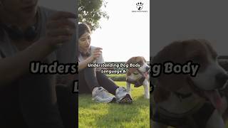 Understanding Dog Body Language amp What Does It Really Mean [upl. by Zemaj]