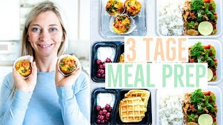 MEAL PREP für 3 Tage  Rezepte zum Vorkochen  Abnehmen mit Meal Prep [upl. by Pearse232]