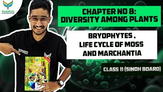 Bryophytes Life Cycle of Moss And Marchantia 11th BiologyChapter 08Diversity Amoung plants [upl. by Noval]