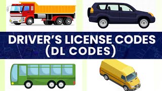 LTO DRIVER’S LICENSE CODE  NEW DRIVER’S LICENSE CODE IN THE PHILIPPINES  DL CODE IN THE PHILS [upl. by Adriana]