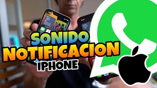 👉 Como CAMBIAR el SONIDO de NOTIFICACIONES de WHATSAPP en IPHONE 🔥 2024 [upl. by Zerlina]