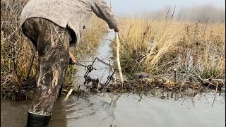 Beaver damn breaks mountainmen historychannel wildlife beaver beavertrapping beaverfever [upl. by Yelhs]