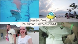 Malediven Vlog3 😍 Hai Alarm😱  wir besuchen Rochi🙈 🙉 🙊 [upl. by Ainniz758]