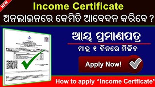 How To Apply Income Certificate In Online Odisha  Income Certificate Online Apply Full Process [upl. by Alarise]