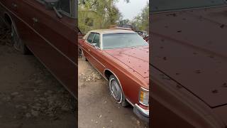 Survivor Barn Find 1973 Ford LTD barnfind ford survivor classiccars [upl. by Lorolla]