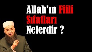 Allahın Fiili Sıfatları Ne Demek [upl. by Assirac]