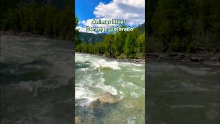 Animas River Durango Colorado durango shorts travel beautifulnature silverton nabaratna [upl. by Ttirb760]