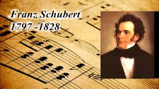 Franz Schubert  Ständchen  Serenade in D Minor [upl. by Lolita229]