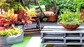 38 Creative Container Garden Ideas [upl. by Milan]