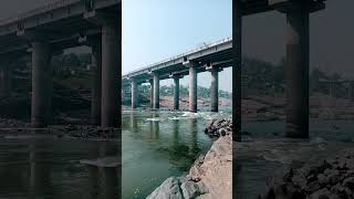 Ganga man Ki tarah pavitra Hai hamari Shri Narmada Maiya ki Jay short video YouTube [upl. by Aneg]