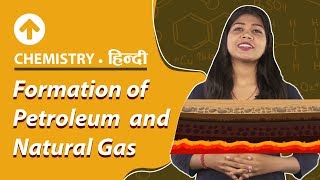 Formation of Petroleum and Natural Gas  Hindi  Chemistry  Class 8 [upl. by Rebak]