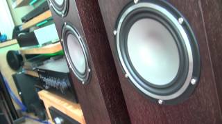 First Look  Tannoy Revolution XT 6F Speakers [upl. by Lucio]