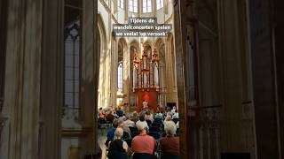 “Een toekomst vol van hoop” vanuit de Bovenkerk wandelconcert marcodentoom shorts orgel organ [upl. by Sweeney]