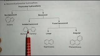 Polynuclear hydrocarbons introduction B Pharm 3rd sem Pharm org chemII BP301T UnitIV [upl. by Dahlstrom]