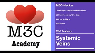 Webinaire M3C Academy Systemic veins Part 1 Embryology Anatomy Imaging [upl. by Ianahs]