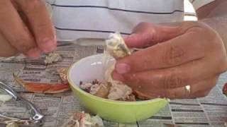 Dungeness Crab How to get the meat out [upl. by Humo]