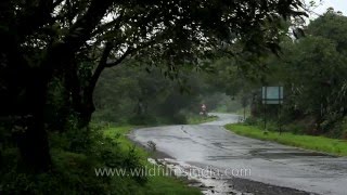 Road to Satara from Mahabaleshwar [upl. by Trebleht]