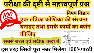 एक तंत्रिका कोशिका का संरचना बनाइए तथा इसके प्रमुख कार्यों का वर्णन कीजिएtantrika kosikaclass10th [upl. by Anilat]