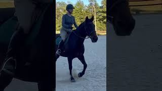 Schooling Show Practice October 2024 [upl. by Finah]