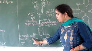 Porphyrin BiosynthesisHeme Synthesis Hindi [upl. by Ynabe263]