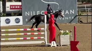 Nabucco Temecula Show Jump [upl. by Hooke]