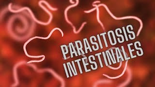 PARASITOS INTESTINALES HELMINTOS PARA ESTUDIANTES PARTE 1 [upl. by Ahsaeym]