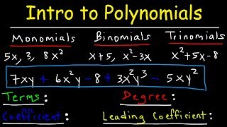 Polynomials  Classifying Monomials Binomials amp Trinomials  Degree amp Leading Coefficient [upl. by Leod]